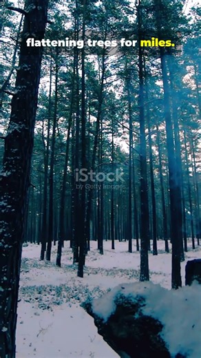 The Tunguska Explosion — A Blast with No Crater?! 💥 #Tunguska #Mystery #Shorts #didyouknow #astroid