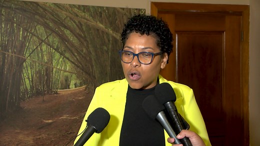 20K views · 142 reactions | Women In Tourism Honored By BTB As a part of Women’s Month, a few women of the tourism industry were recognized and honored today by the Belize Tourism Board. The event included opportunities to network and to learn from other women in the industry through a discussion panel. Our team was there and Courtney Menzies has this story. | 7 News Belize | Facebook