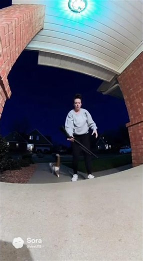 Cat shoots gun! #shorts #funny #ai #crazy #cat