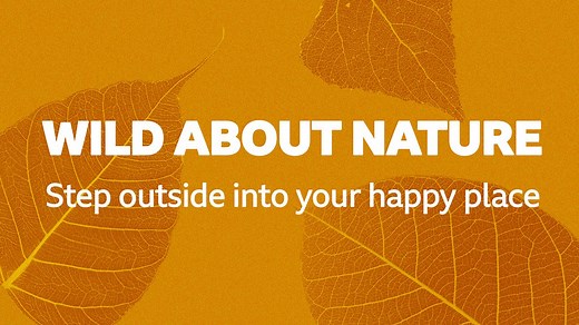 Wild About Nature with BBC Bitesize