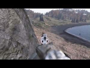 DayZ - Revolver Maxing
