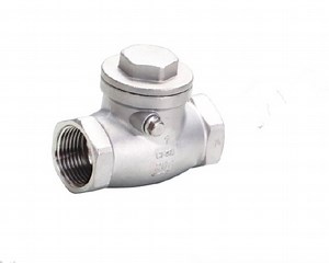 [Hot Item] Unique Design Stainless Steel Female Thread Swing Check Valve