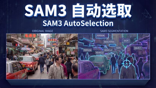 【Show Case】基于Sam3实现的自动选取