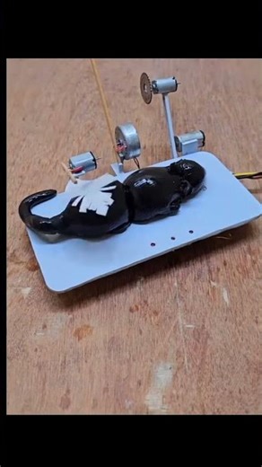 Funniest Rat Catcher Ever! 😂🐭 You Won’t Believe This Trap