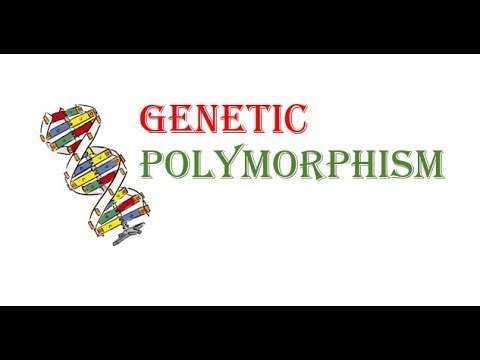 Genetic Polymorphism