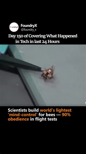 Scientists create 74mg 'mind-control' for bees with 90% accuracy | FoundryX News Hub posted on the topic | LinkedIn
