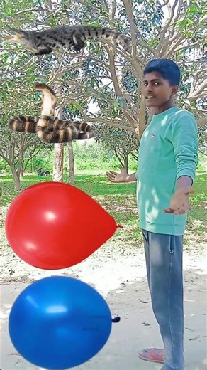 👉 “I Popped a Balloon and a Snake Came Out 😱 (Wait for the Last One!)