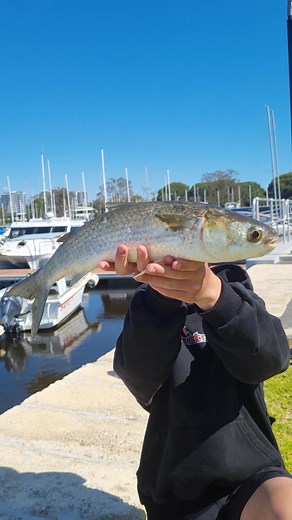 Mandy Fishos on TikTok