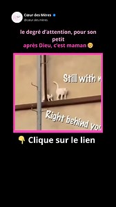 💬 Et si, dans 5 ans, tu regardais ton enfant et te disais : “J’aurais aimé faire plus pour lui…” Ne laisse pas ce regret arriver. ☺️ Découvre aujourd'hui👇 👉Les 7 clés pour accompagner votre enfant vers la réussite scolaire et personnelle En simple clique ici 👉🌐 https://coeur-de-mere.mychariow.com/7-cles 📥 Télécharge le aujourd’hui et commence à bâtir son avenir… maintenant ! #coeurdesmeres #AmourInconditionnel #Parentalité #AmourMaternel #ÉducationPositive #ParentConscient #enfants #PapaEt