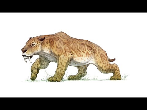 Smilodon Sound Effects Vol 2