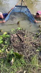 Trapping huge eel fish with survival skills | Emma Girl Fishing
