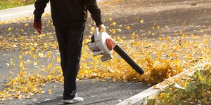 Gasoline-powered lawn mowers, leaf blowers to be banned under new California law