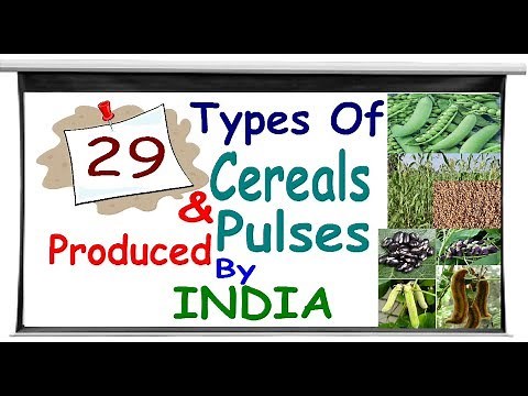29 types of cereals and pulses which produce by India