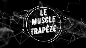 Exercice : étirement passif du muscle trapèze (sup, moy, inf)