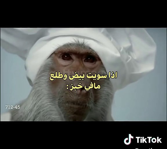 أفضل لحظات رياكشنات مضحكة