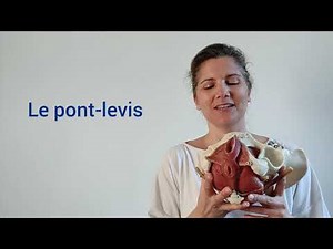 Muscler son périnée 1ère séance