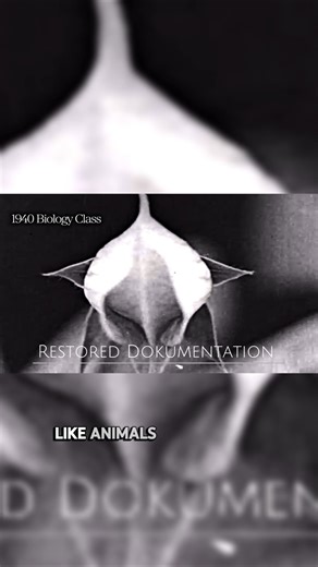 Plant Documentary from 1940 — Real Educational Film #science #biology