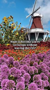 🌷Holland, Michigan : a little piece of the Netherlands here in the Midwest 😇. So much beauty and fun activities, you need to go! @discoverholland Founded in 1847 by Dutch immigrants, they brought tulips, windmills, and a whole lot of wooden shoes with them! 🇳🇱 Now it’s a great blend of European charm and small-town vibes. Here are 5 unique things you *must* do in the Holland area: 1. 🌬️ Explore the windmill, canals, and trails at the @windmillislandgardens . Bonus points for trying all the 