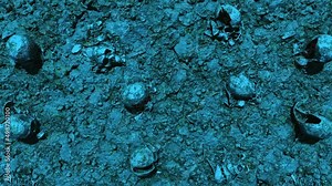 Time lapse from morning to evening. Human skulls scattered on the field of a past battle. War crimes, massacre on humanity. The concept of war and apocalypse. Stock Video