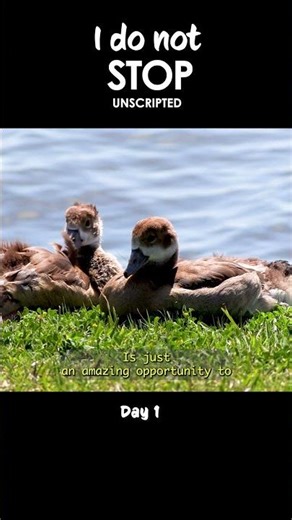 Following urban rivers, being part of the documentary Dr Luca Mendes, Unscripted
