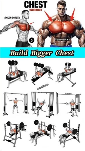 9 Amazing Chest Builders You're Missing Out On #chest #shorts
