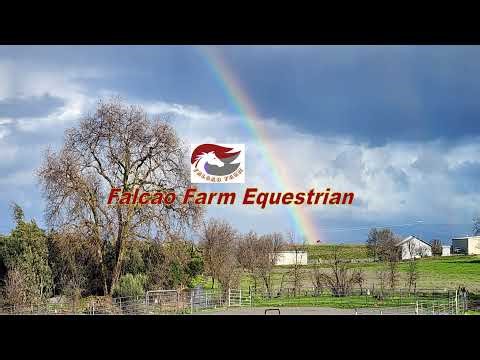 Raw Barnyard Chaos 24/7 LIVESTREAM Special !