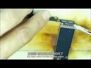 iPhone 7 Plus Front and rear back camera not working