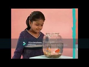 Elmo's World Kids And Baby Compilation But It's In 1.5x Speed (See Links In Description)