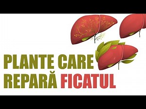 Cele mai bune plante pentru detoxifierea și regenerarea ficatului