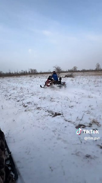 Snowmobile Adventure in Winter Wonderland