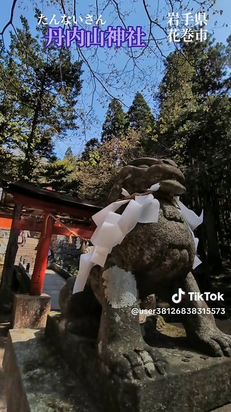 【丹内山神社】 丹内山神社（岩手県花巻市）は、謎の神「アラハバキ大神」を祀る磐座（いわくら）が本殿裏にある、日本有数のパワースポットです。古代蝦夷の信仰対象や鉄の神ともされるアラハバキの巨石は、強い霊力を持つとされ、地域開拓の神「多邇知比古神」とともに祀られています。 ★謎の神・アラハバキ: 『古事記』『日本書紀』に登場しない謎の神。長脛彦（ながすねひこ）の神や、製鉄・金鉱に関わる蝦夷（えみし）の信仰神、あるいは道祖神（脛巾＝脛当て）が神格化したものなど、諸説あります。 ★歴史的背景: 坂上田村麻呂が蝦夷討伐の際に畏怖し、物部氏や奥州藤原氏も信仰した伝承が残ります。 #花巻市 #丹内山神社 #アラハバキ #パワースポット #太陽