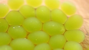 182 reactions · 83 shares | Explore the kitchen alchemy of spherification—experiment with Reverse Spherification, the simplest technique to make large spheres with a liquid center. The sky’s the limit as far as flavors go, so set up your own little kitchen lab and have some fun. Click the link to learn more and enroll in our FREE Spherification class: chfstps.co/1bNXh6m | ChefSteps | Facebook