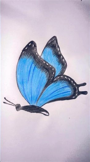 Butterfly drawing #drawingideas #drawingtutorials #simpledrawing #howtodraw #cartoonshorts #shorts