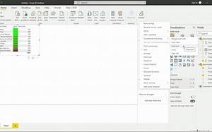 38. How to use Conditional Formatting in Power BI Microsoft Power BI for Begin
