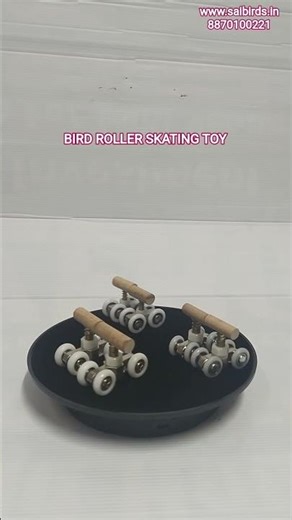 bird roller skating toy #birdcage #birdfeeder #birdsupplement #birdtoy #birdaccessories #saibirds