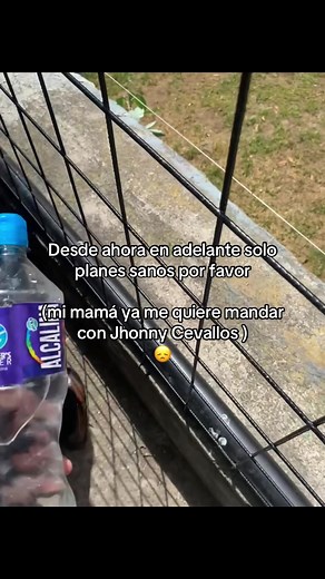 Planes Sanos: ¡Desafía tus Hábitos Diarios!