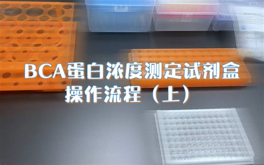 BCA蛋白浓度测定试剂盒操作流程（上）