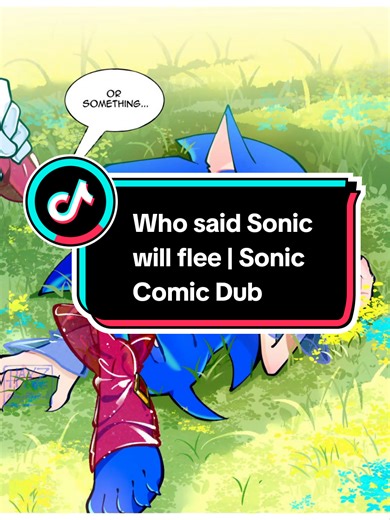 Who said Sonic will flee | Sonic Comic Dub | Sky Comic | Comic by HayzieRoll #sonic #sonadow #sonicthehedgehog #shadow #comicdub