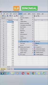 Tutorial Uji Binomial dengan SPSS