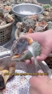 The magical skill of extracting conch meat #mushroom #wheelsaw #welding