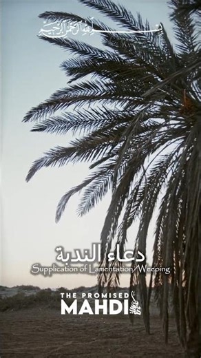 Dua Nudba ~ Supplication of Lamentation/Weeping-14 | #mahdi #viralshorts #shiastatus #qaem #duanudba