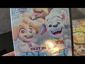my paw patrol dvd collection of 2024
