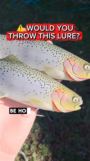 Would You Throw This Lure?🎣