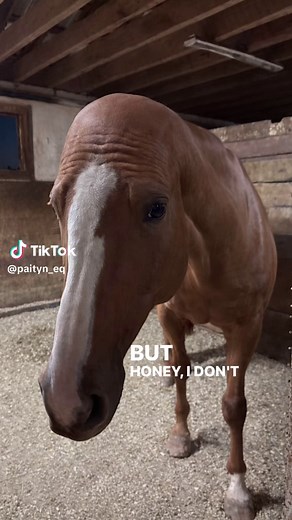 Pregnancy Test Reaction with Paityn and Friends