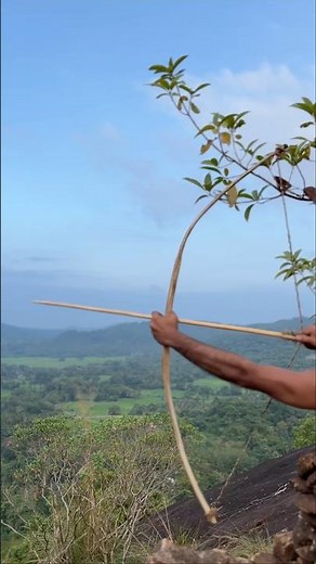 How To Make Survival Bow And Arrows .#forest #primitive#shortviral