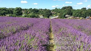 A London daytrip you probably haven't done https://buff.ly/2sMfQS0 | Londonist