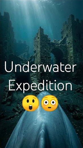 Dolphin POV Discovers a Lost Fortress Beneath the Black Sea | Sunken Ancient Defense
