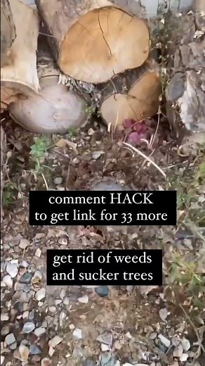 DIY Weed Killer Hack 🌿 | Natural Homemade Weed Killer Recipe