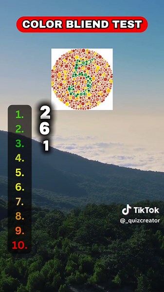 Pro Quiz Creator on TikTok