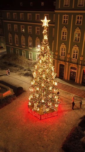 Czuć już święta w Szczecinie! Tak prezentuje się nasza piękna choinka przy Urzędzie Miasta z lotu ptaka 😍 A Wam jak się podoba? Dajcie znać w komentarzach! vid. Tomasz Dulęba 🌐 szczecinportal.pl #choinka #święta #szczecin #christmas #zachodniopomorskie #świętabożegonarodzenia #święta2025 #choinkaszczecin #szczecińskachoinka #świętawszczecinie #loveszczecin #visitszczecin #pomorzezachodnie #zachodniopomorskie #szczecinianin #szczecianka | Szczecin Portal